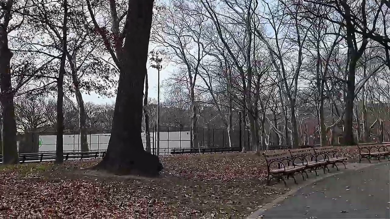 Walking Tour: Lincoln Terrace / Arthur S. Somers Park