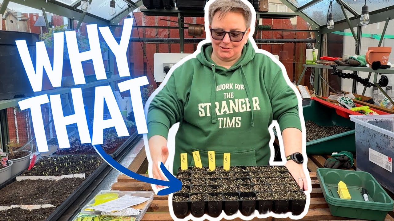 Starting now! Sowing my bell peppers, broad beans and more