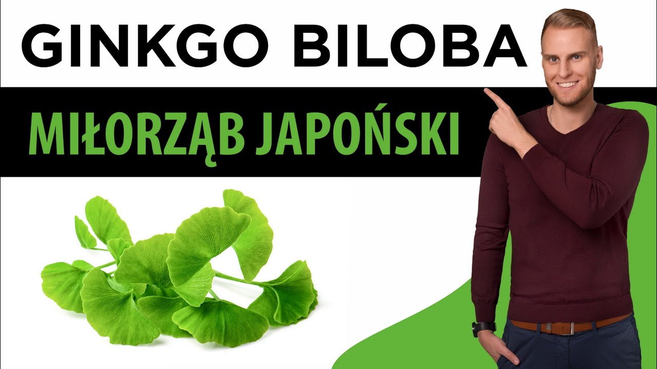Ginkgo Biloba (Miłorząb japoński)