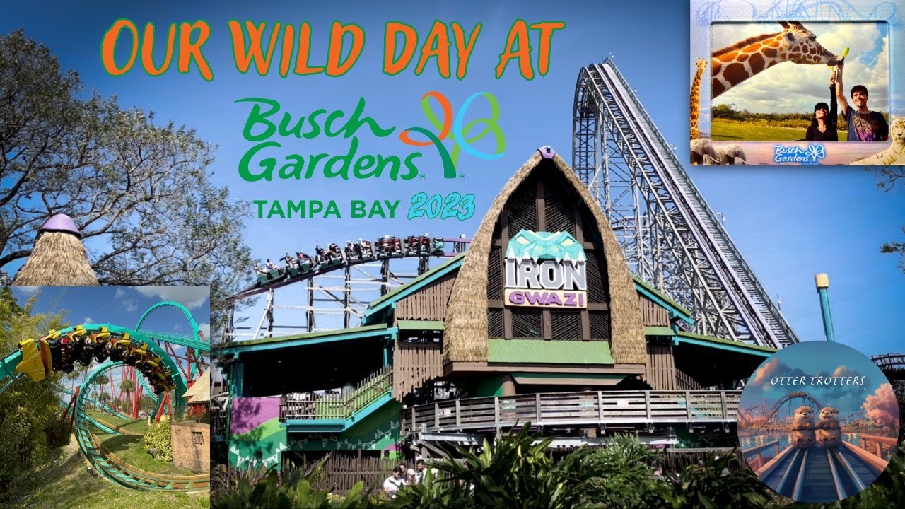 Our Wild Day at Busch Gardens Tampa Bay, Florida - February 2023