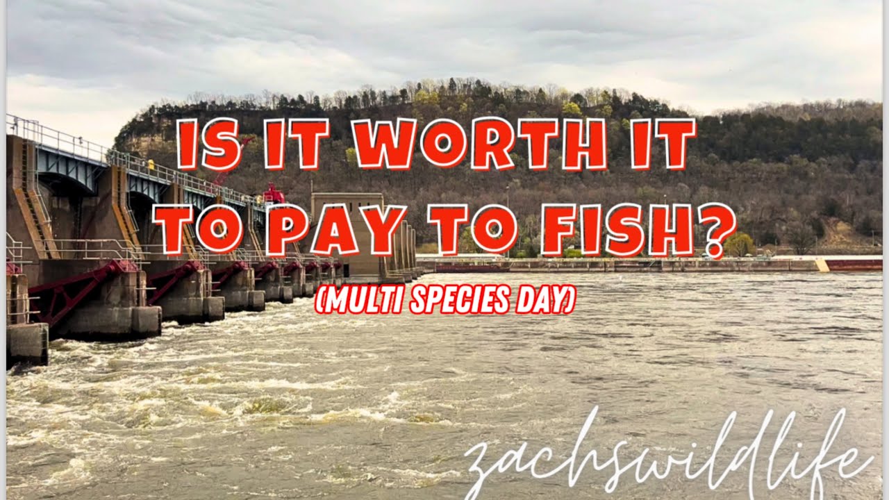 Is It Worth It To Pay To Fish In 2024?!