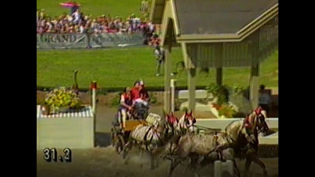 Four-in-hand driving World Championships Stockholm 1990