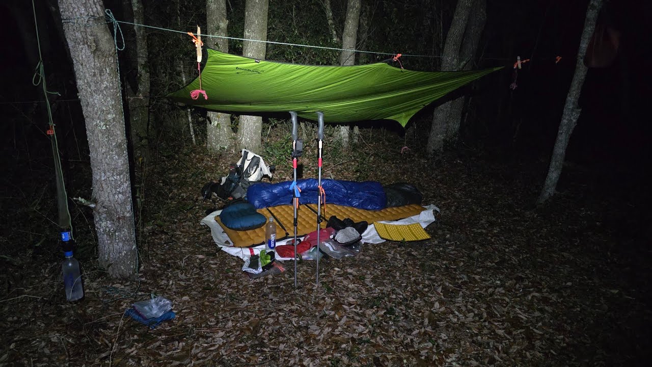 Маршрут Florida Trail, день 4, 01.06.25, от кемпинга Steephead до кемпинга Alaqua, 17,3 мили (977...