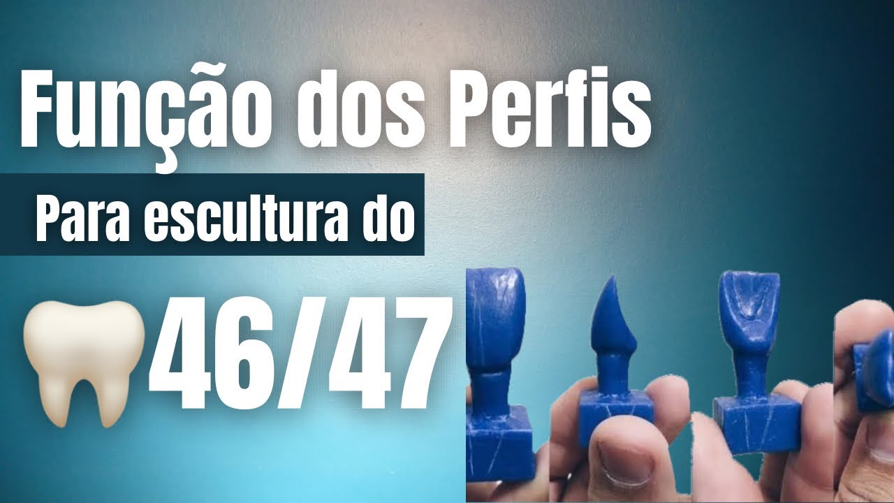 Escultura dos dentes 46 e 47 + função dos perfis