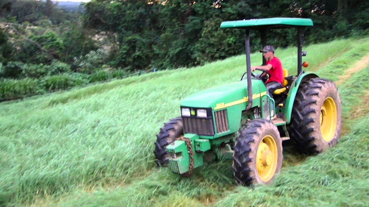 JD 5603 com segadeira de tambor