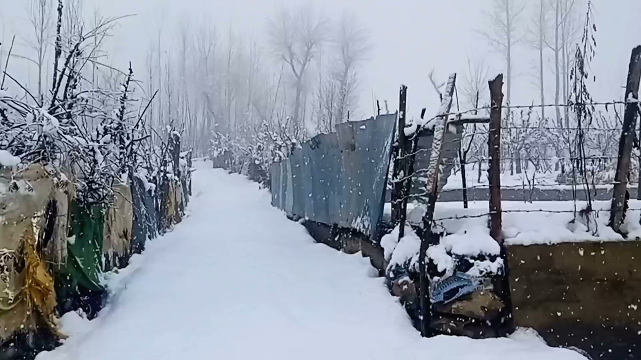 kashmir|kashmir snowfall whatsapp status|kashmir snowfall 2022