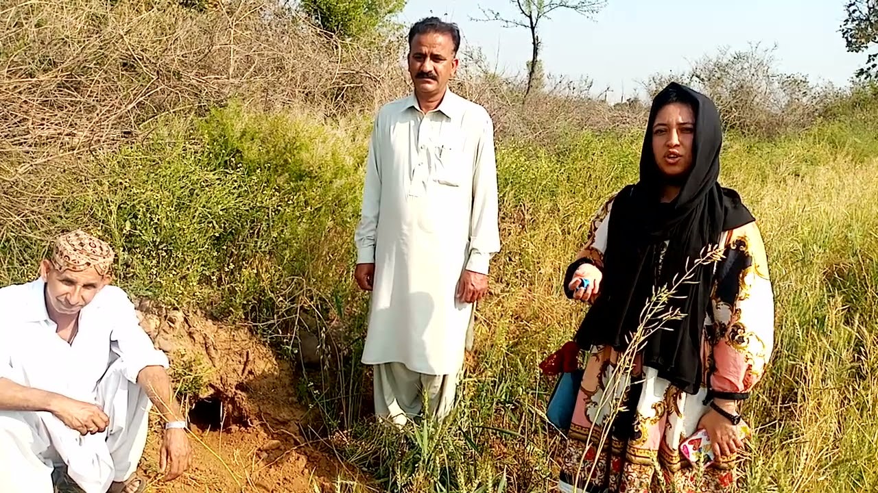 Pangolin Camera trapping research study in Potohar plateau Pakistan