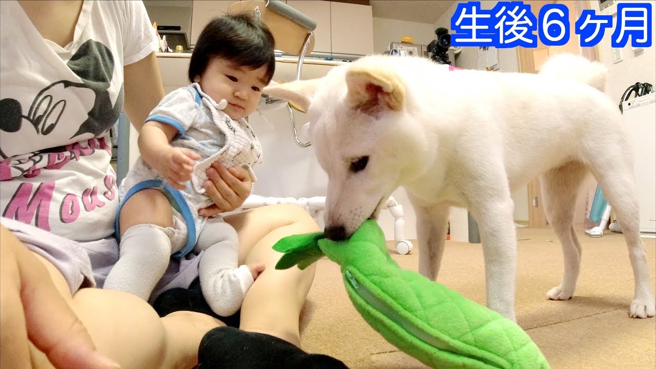 生後６ヶ月