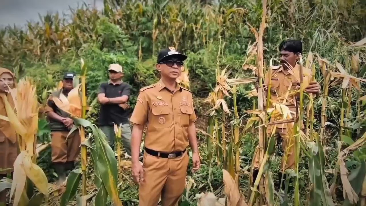Perkenalkan Bumdes Linggakencana Desa Linggapura