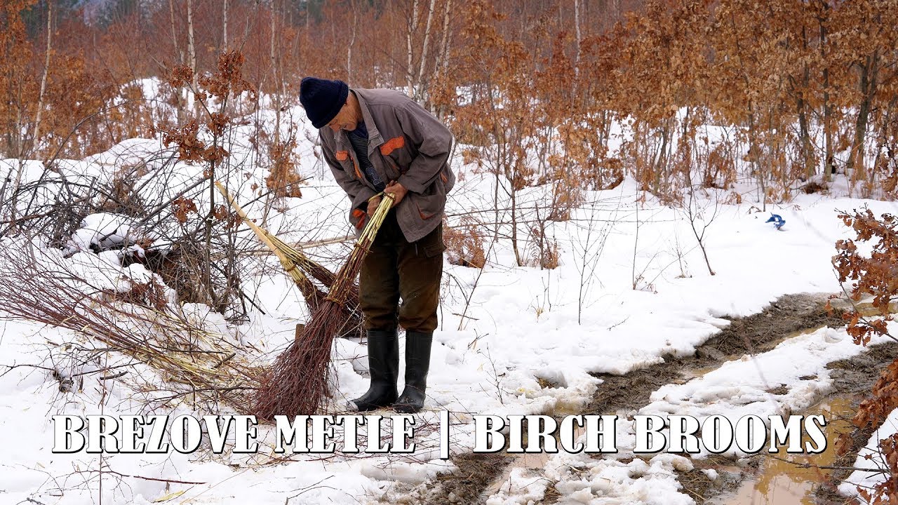 Brezove metle | Birch Brooms