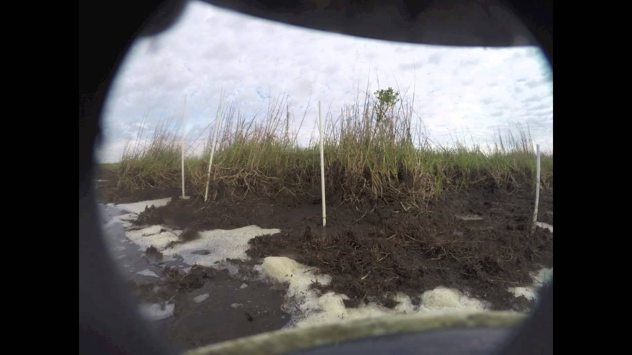 Time lapse of land loss in coastal Louisiana