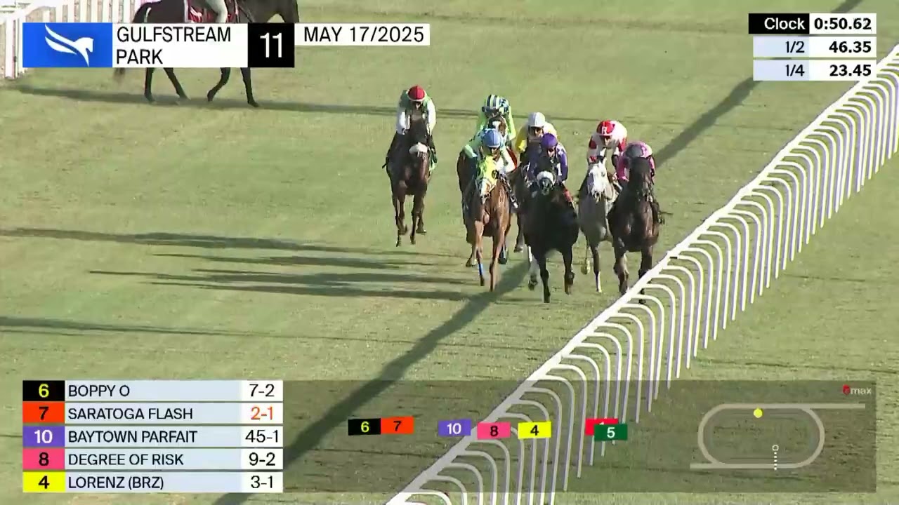 Gulfstream Park Carrera 11 ( The Mr Steele ) - 17 de Mayo 2025