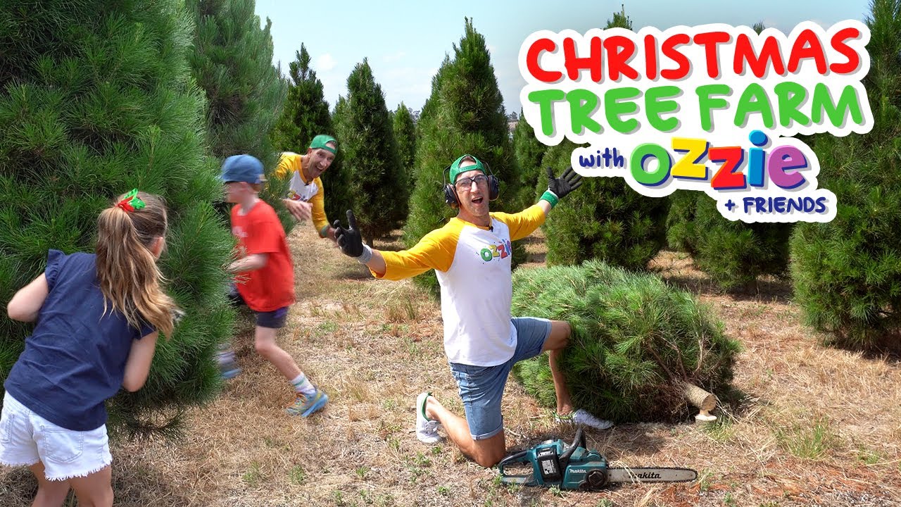 Christmas Fun for Kids | Real Christmas Tree Farm Adventure | How to Decorate a Xmas Tree
