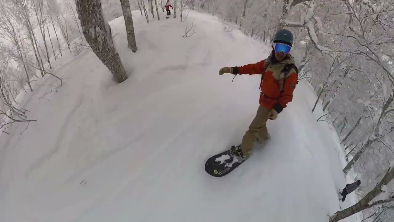 Tree Runs Pow Day at Nozawa Onsen with Kacie