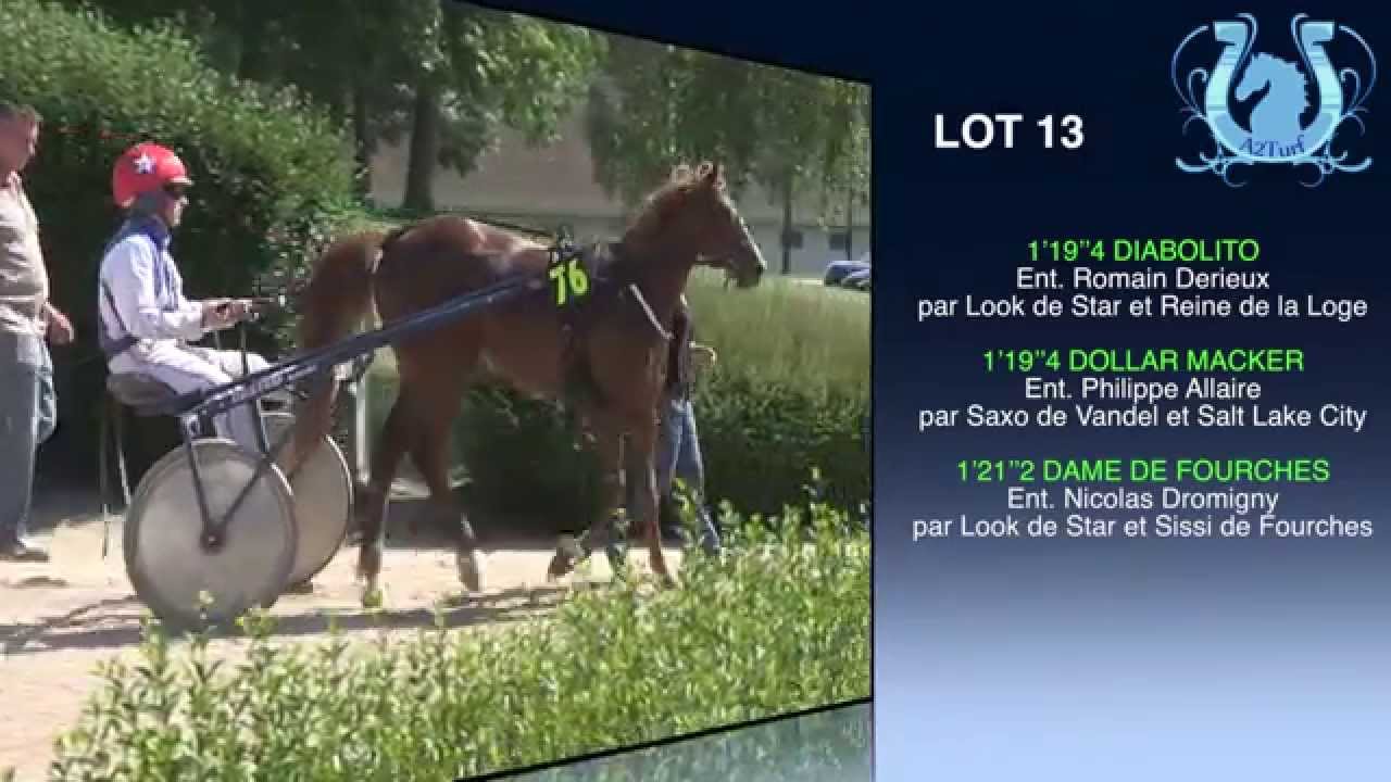 Séance de qualifications à Grosbois le 5 juin : place aux 