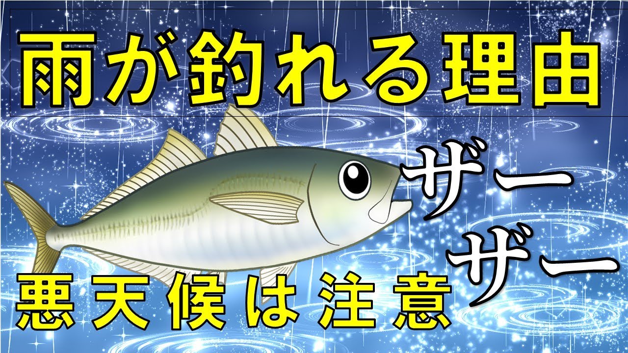 【雨が釣れる理由】雨の好条件６選☔