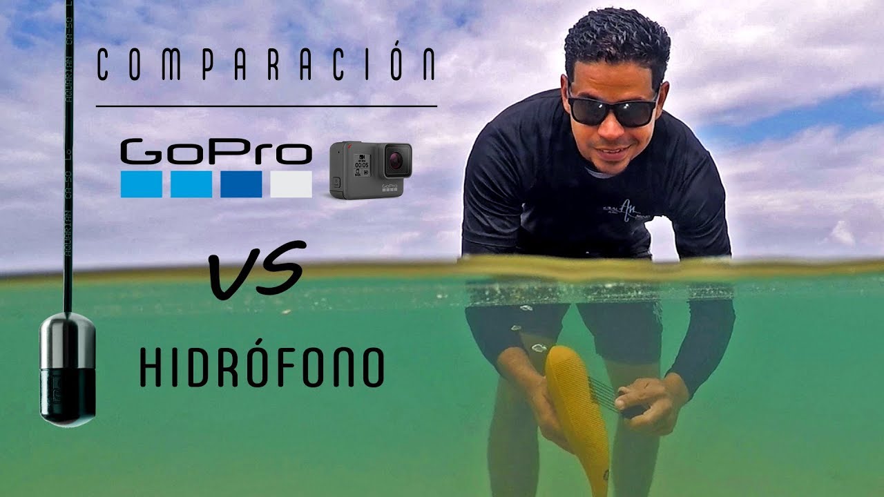 GOPRO vs HIDRÓFONO | Comparación de audio