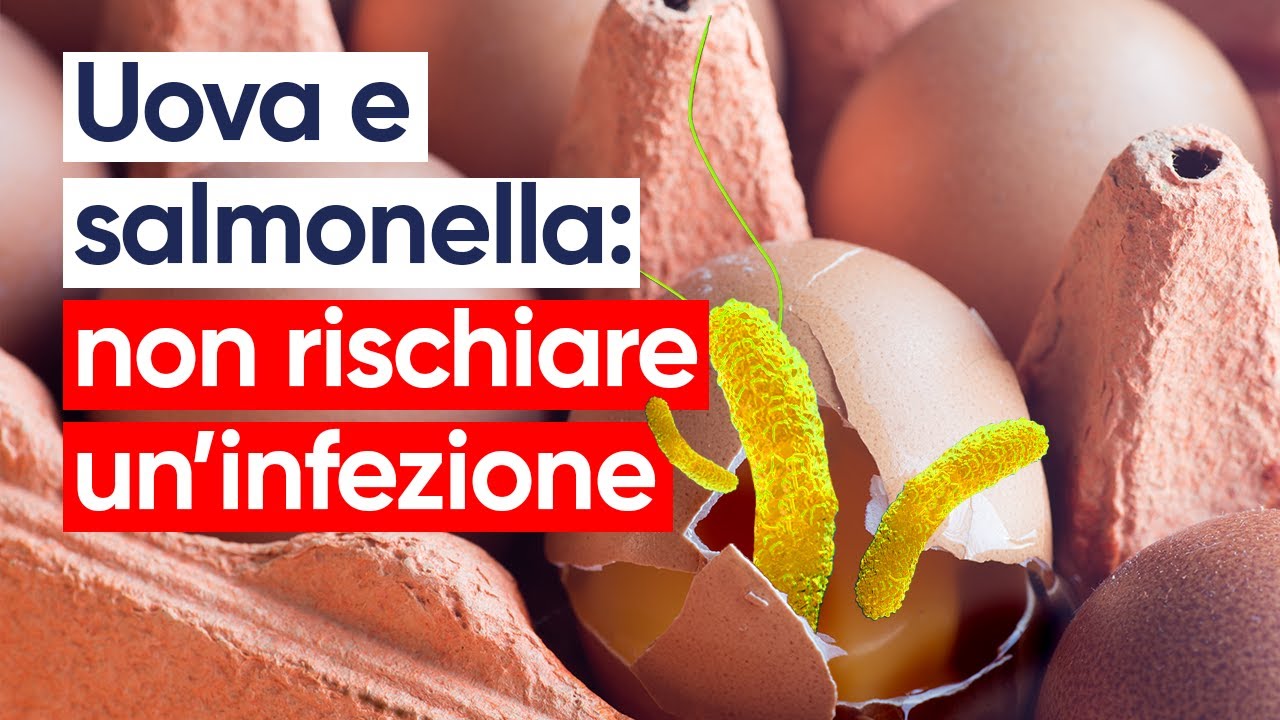 Uova e salmonella: 10 regole da seguire per evitare rischi