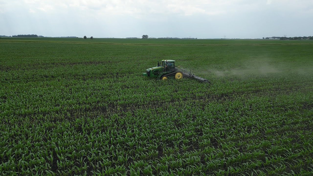 How And Why We Run Hiniker Row Crop Cultivators! Plus Results Of Burning Corn