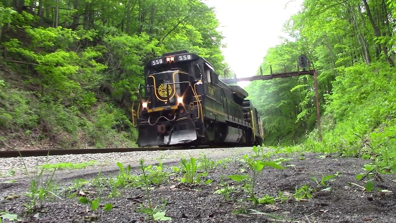 Western Maryland Scenic Railway! #train  #railway