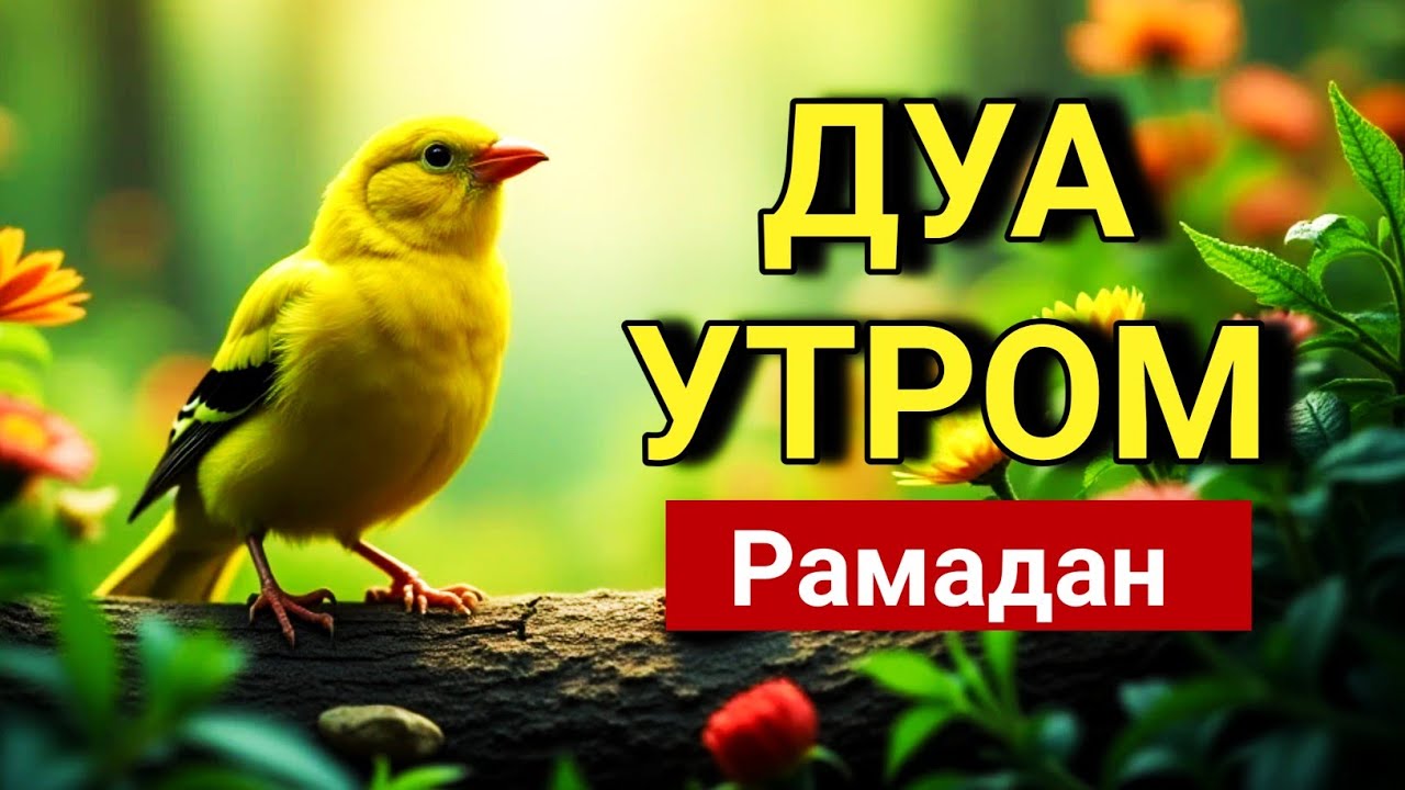🌅 РАМАДАН: ДУА, КОТОРАЯ УКРЕПЛЯЕТ СЕРДЦЕ ✨🤲
