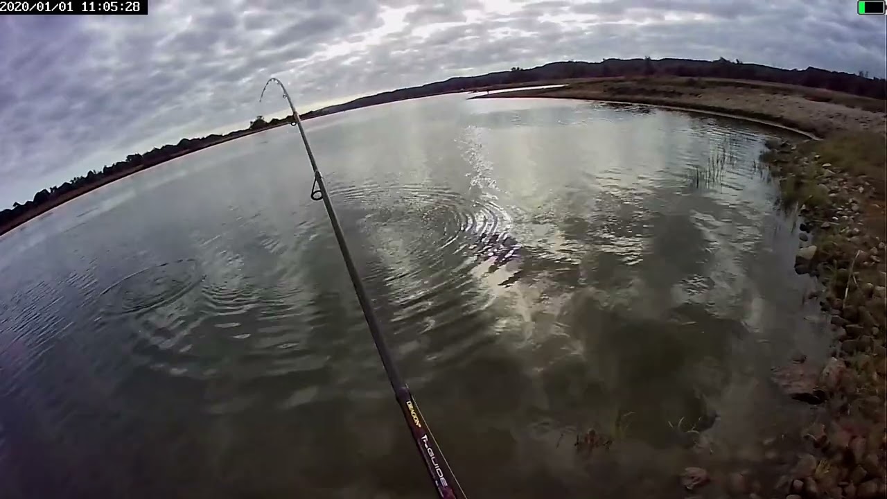 BOLEŃ 70 CM .TEST WĘDKI DRAGON PROGUIDE X SERIES SPIN 14 35G 245CM .