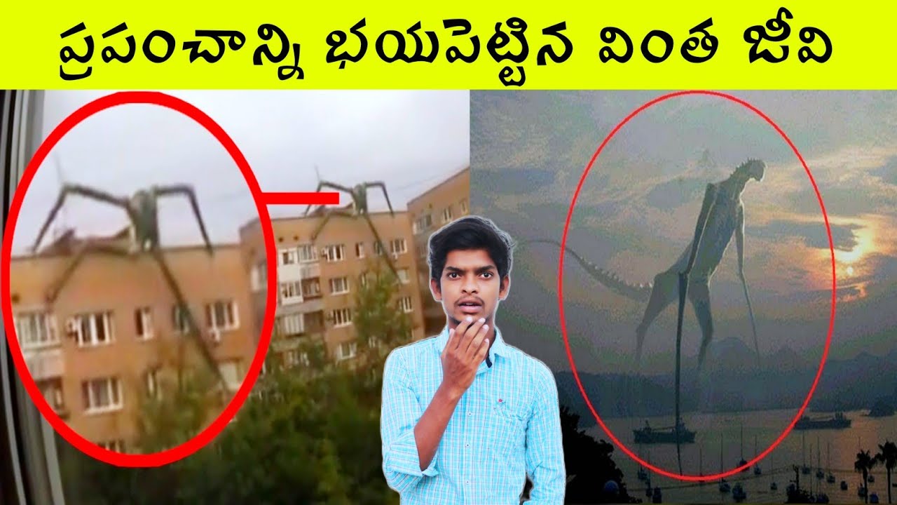 Top 15 interesting facts | Amazing facts Telugu | interesting facts | BMC facts | Telugu