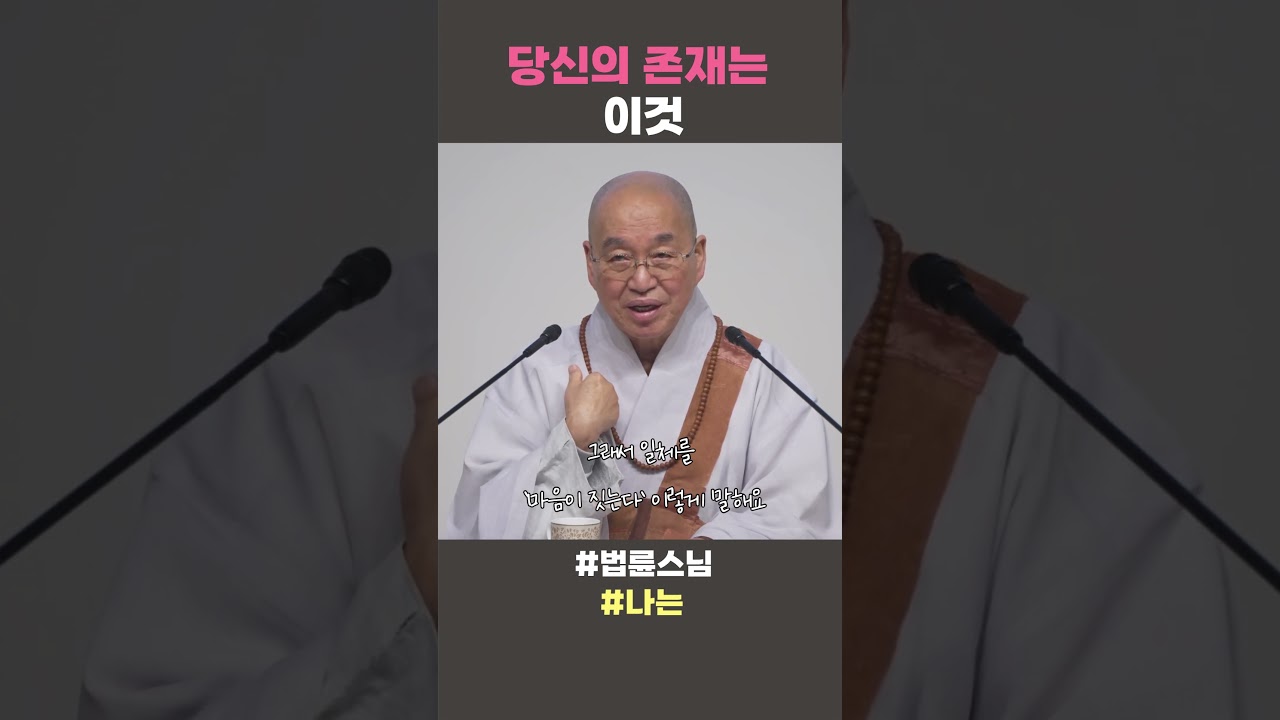 당신의 존재는 이것  #법륜스님 #법륜스님쇼츠 #법륜쇼츠 #즉문즉설 #정토불교대학 #나는