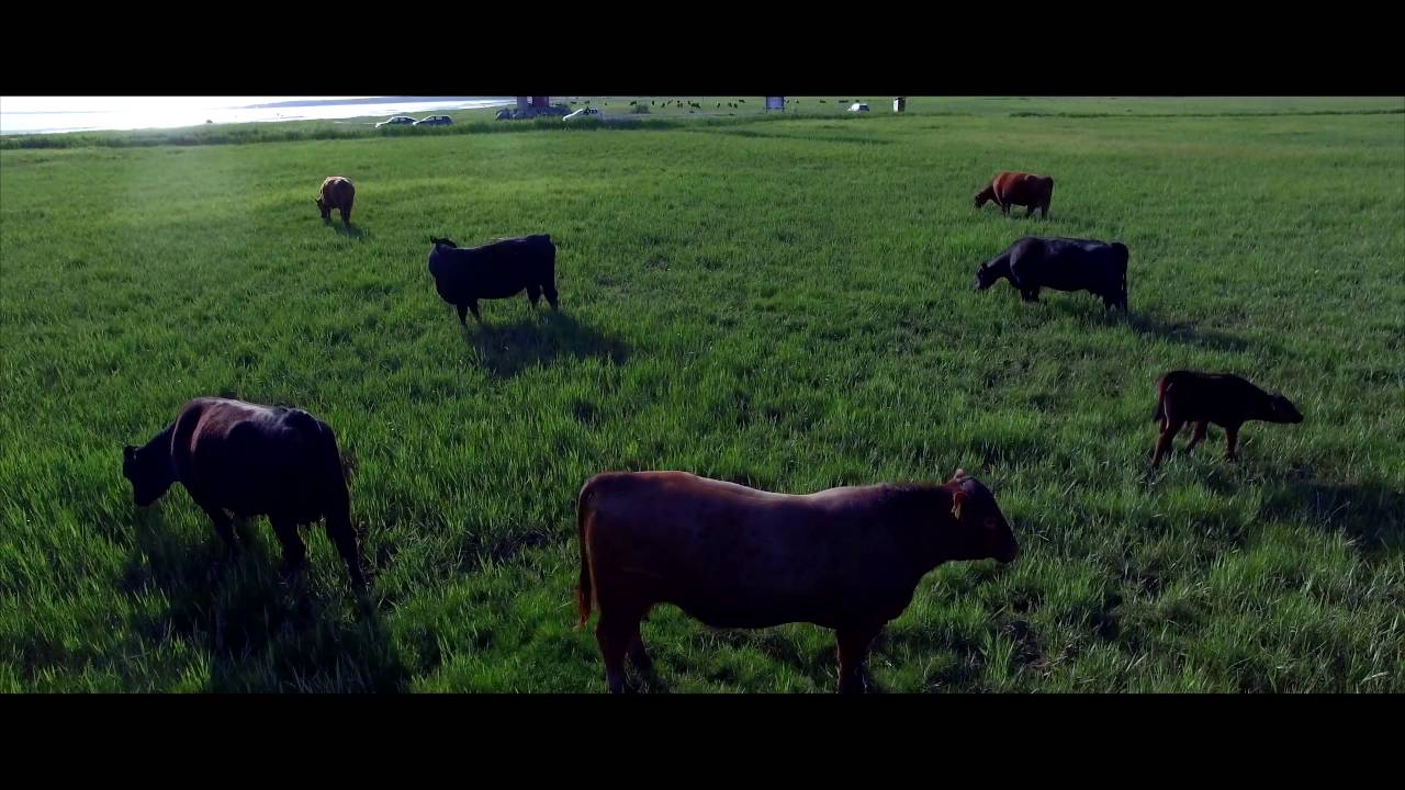 Vanapärnu rand! dji phantom 3
