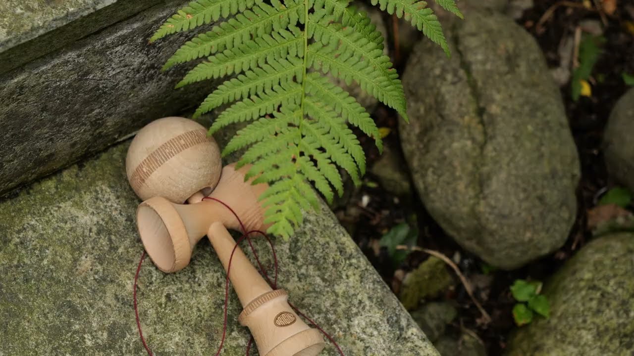 NATURAL  |  けん玉