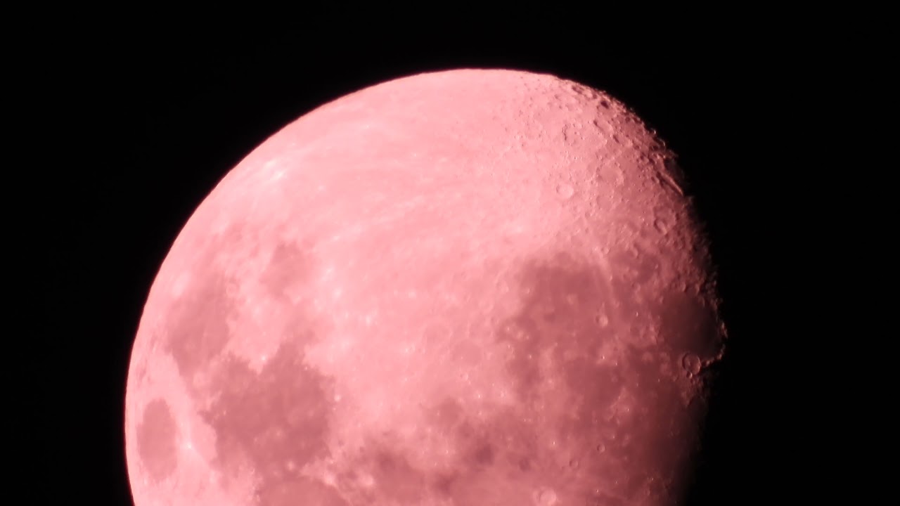 z Pink
