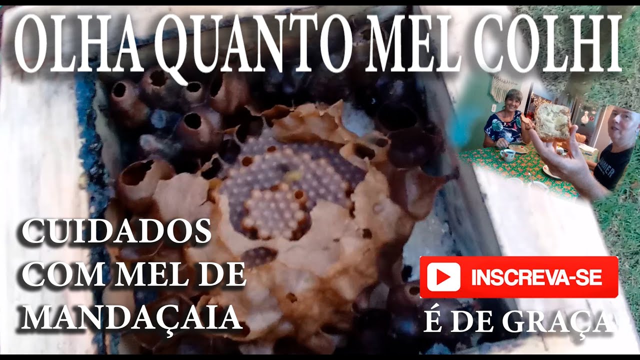 124- CUIDADOS COM O MEL DE MANDAÇAIA. PRECISA PASTEURIZAR?
