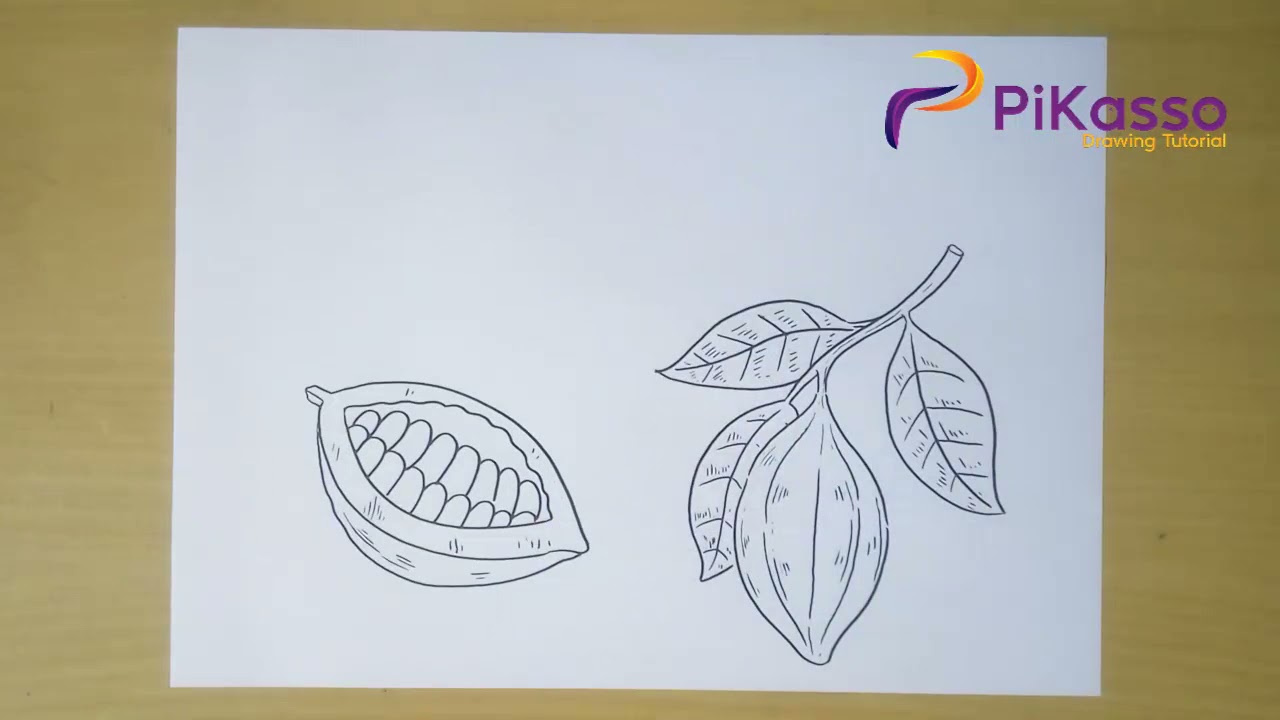 How to Draw Cocoa Superfood Set Organic Illustration