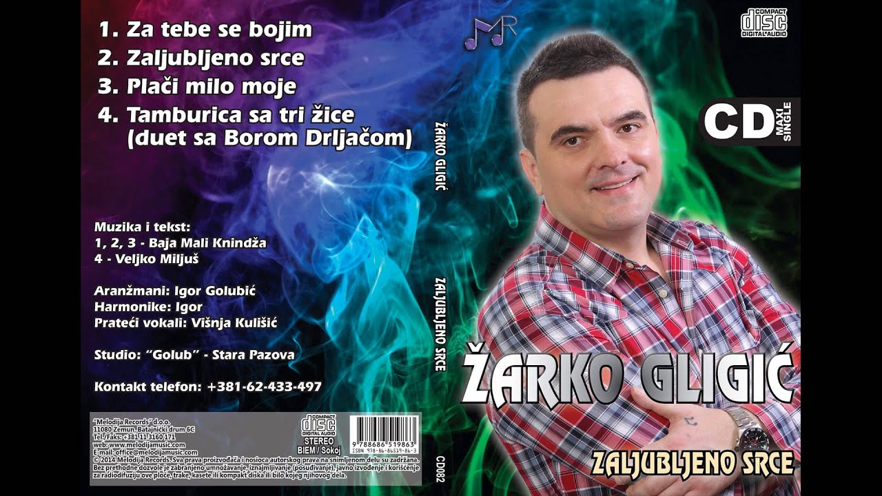 Zarko Gligic i Bora Drljaca - Tamburica sa tri zice - (Audio 2014)