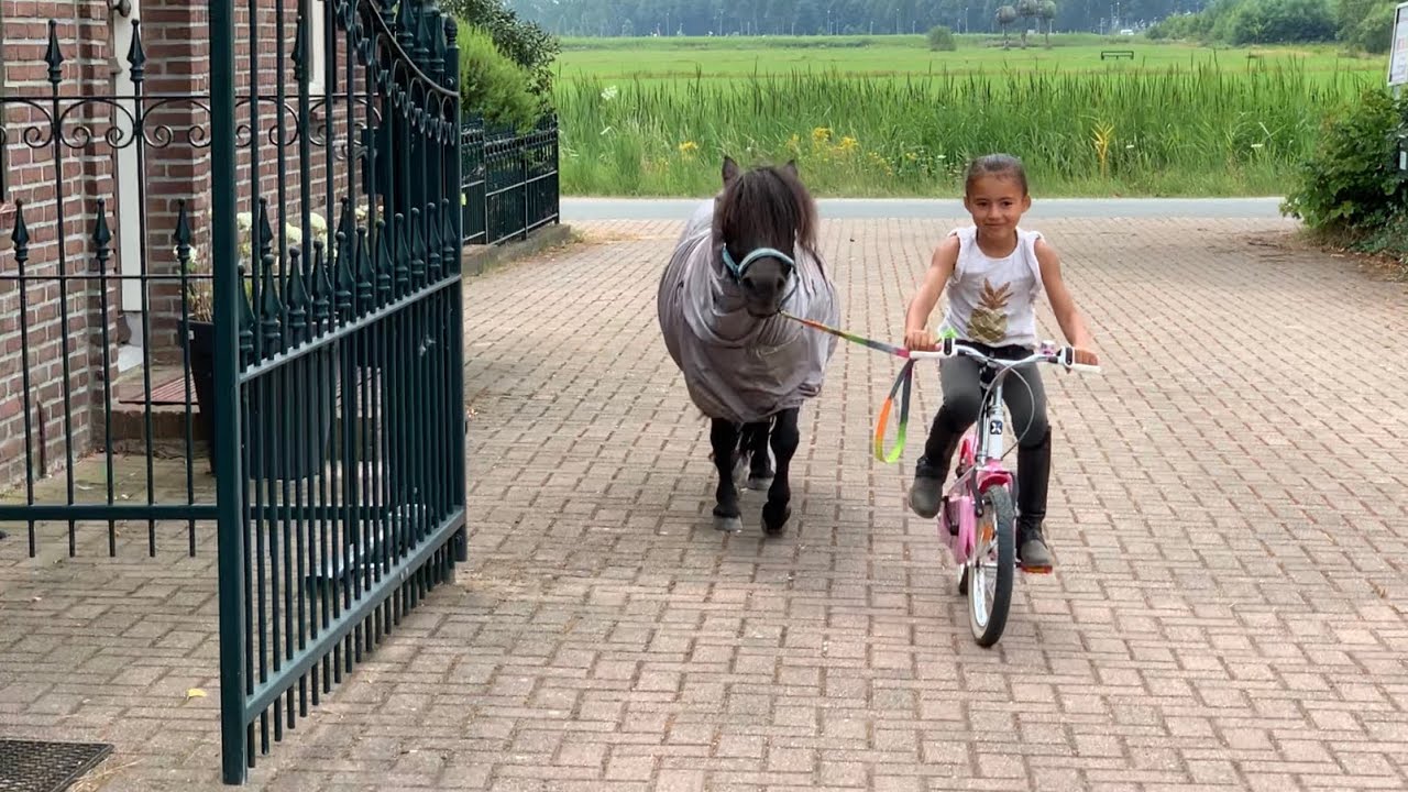 40 graden/ 20 graden wat doet Lola in de zomervakantie ?
