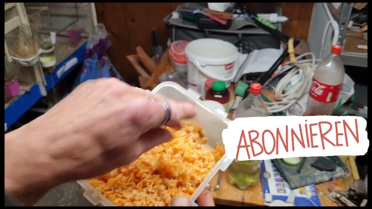 Ohhh Gott ein Züchter zeig euch die Futter mischung und Tipps und Tricks