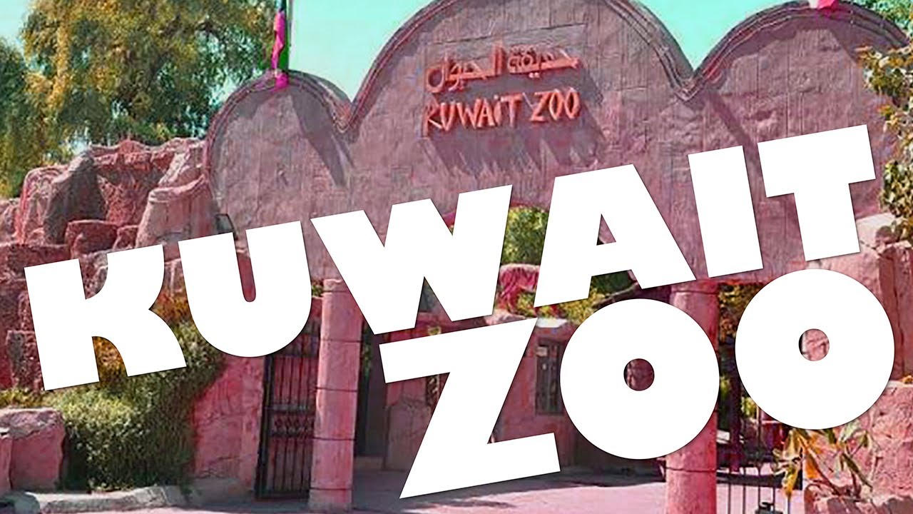 KUWAIT ZOO | DNA KUWAIT