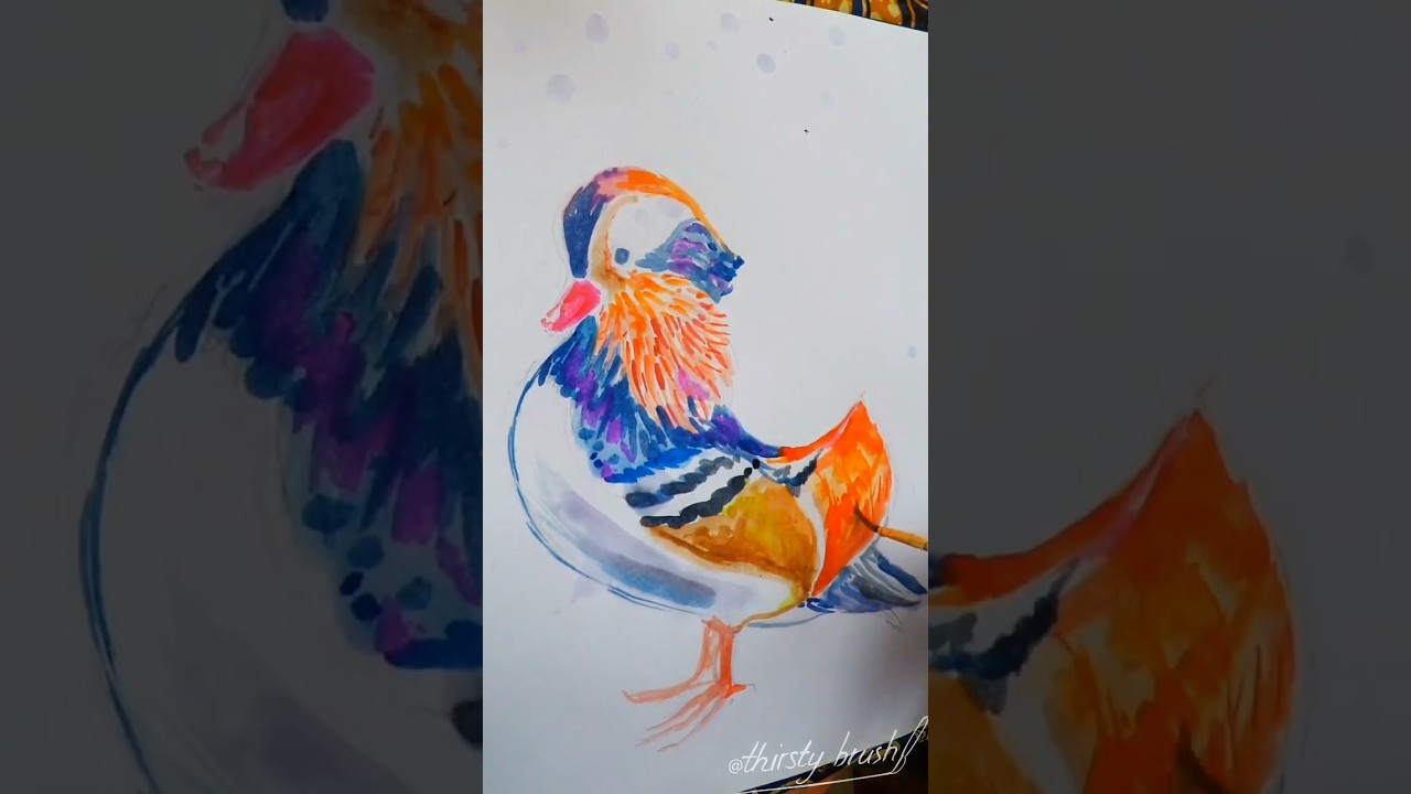 mandarin duck watercolour illustration 