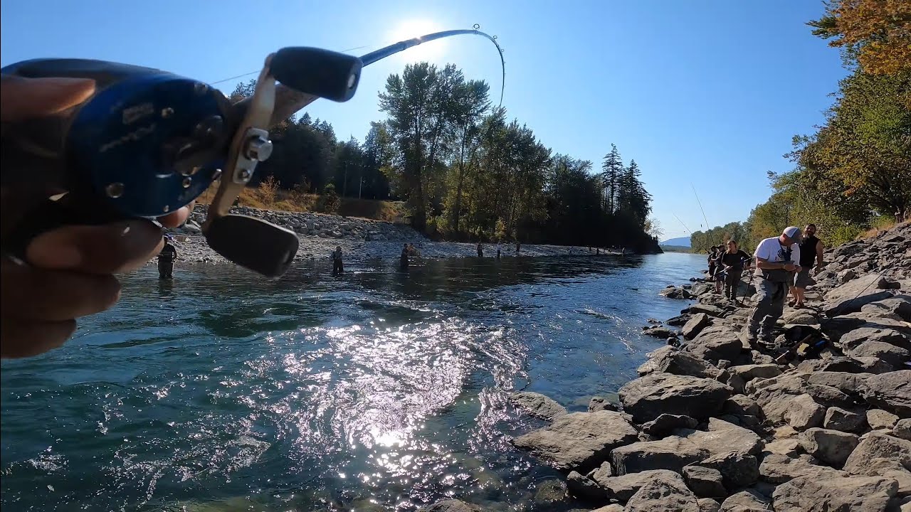 SALMON FISHING BC'S MOST CROWDED RIVER  | BRITISH COLUMBIA