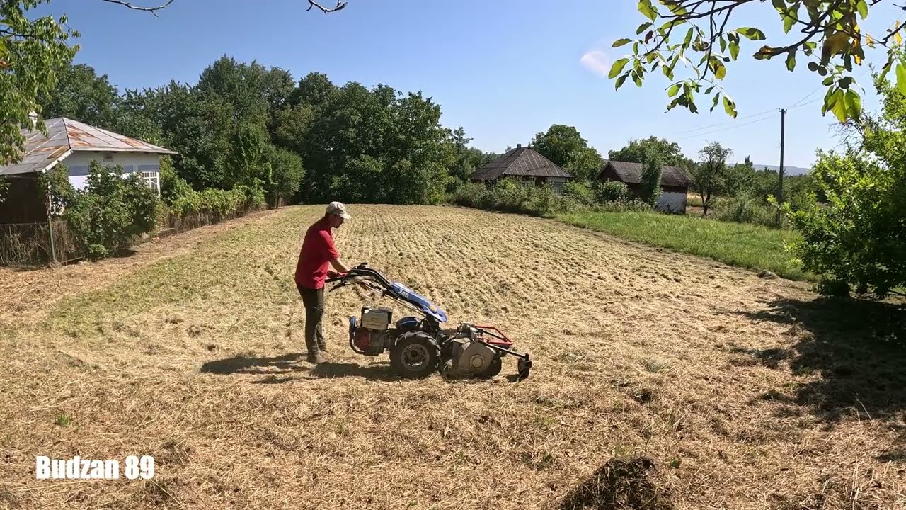 BCS 740 destroys tall grass