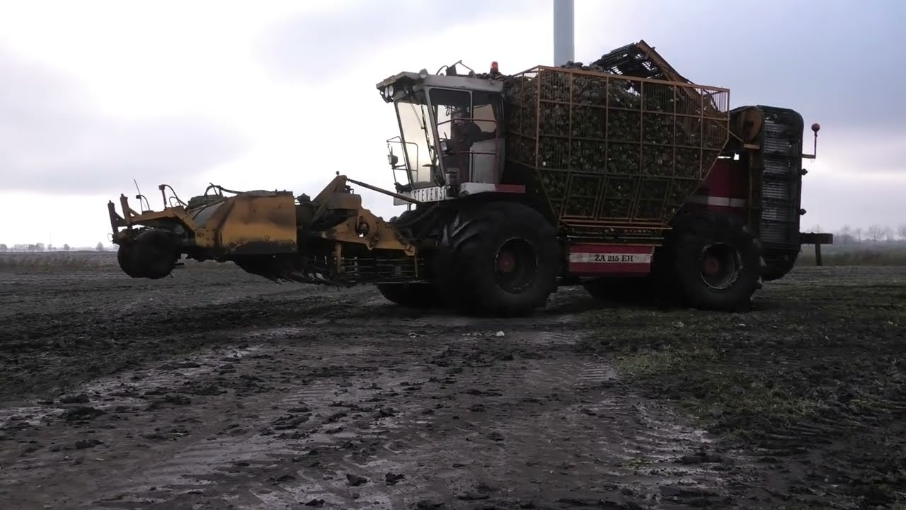 bieten rooien met agrifac ZA 215 EH met case optium 300 met beco kipper