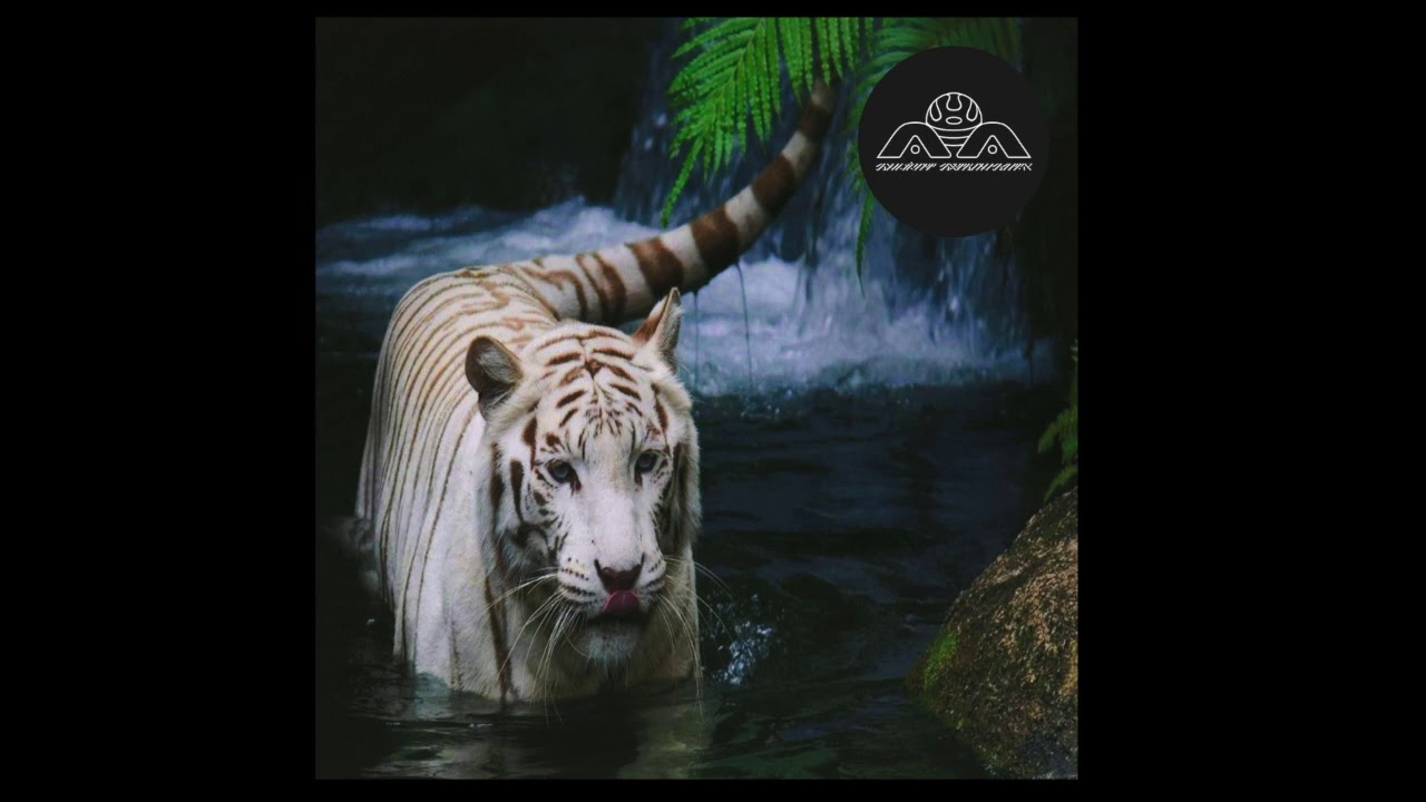 Lone - Glyphic