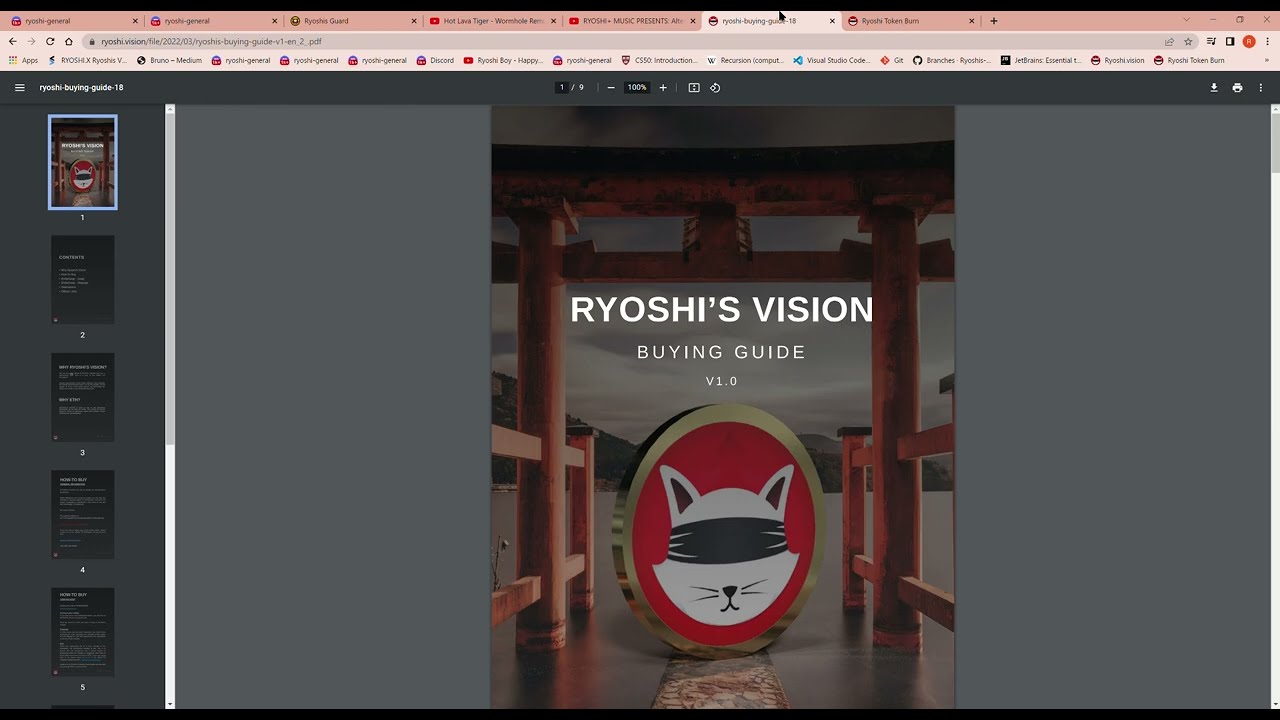 Ryoshis Vision Update