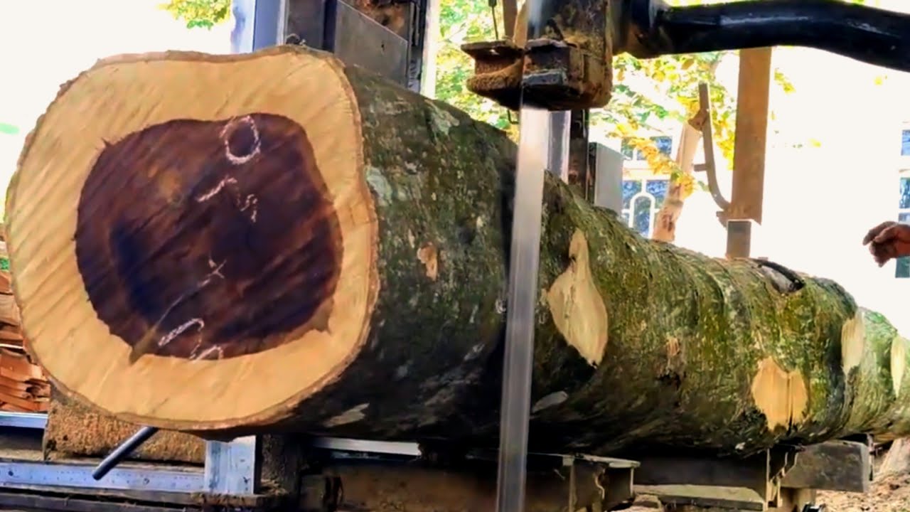 AMAZING BLACK FIBER! The process of processing this beautiful rare wood at a sawmill 