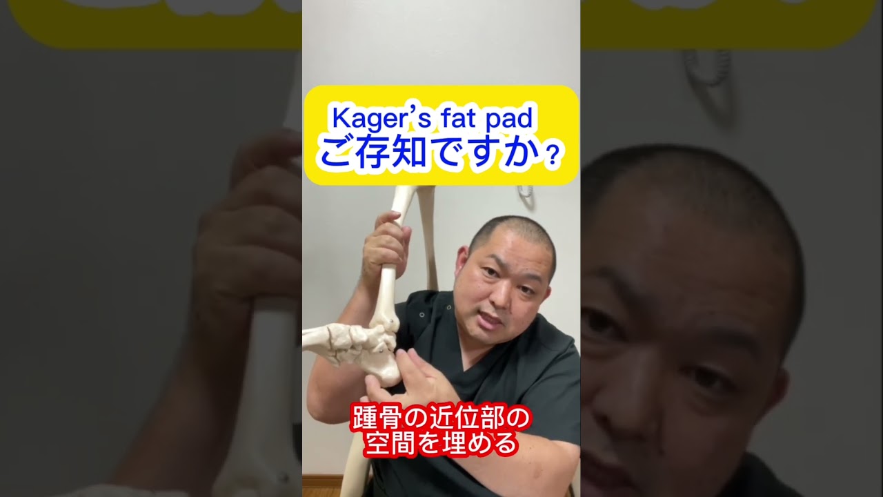 【足部評価】Kager&rsquo;s fat padってご存知ですか？