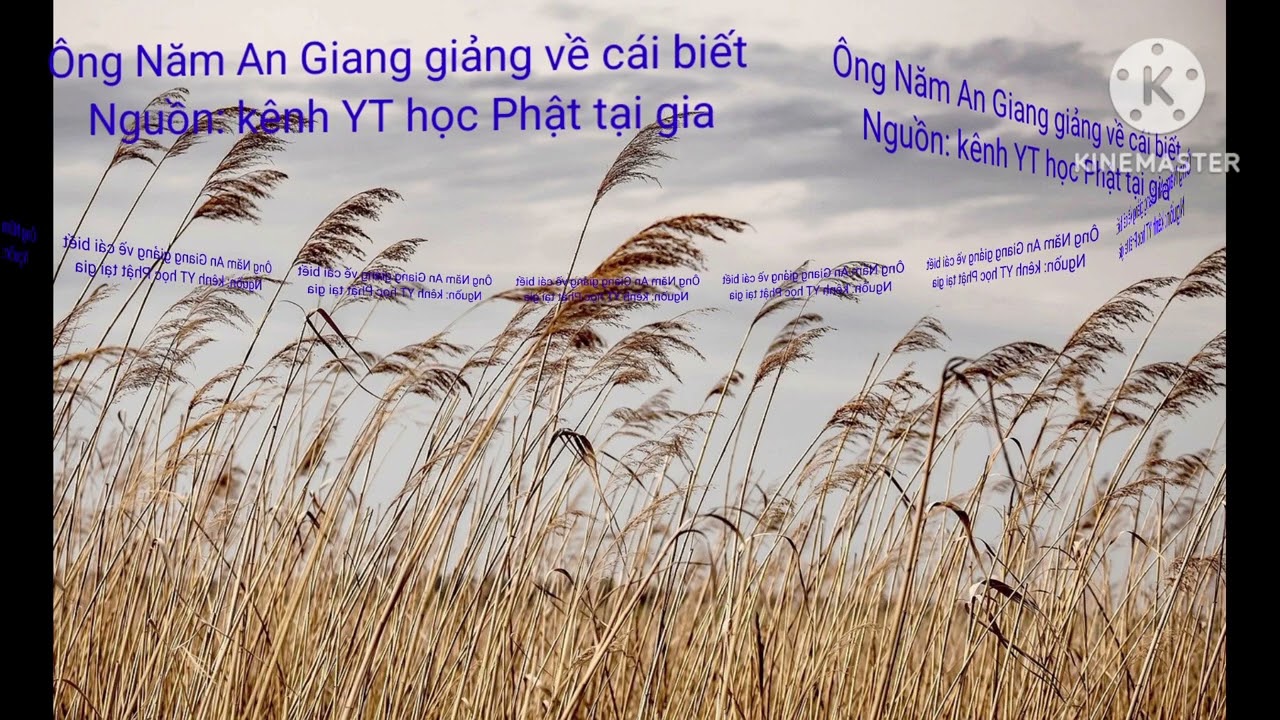Ông Năm An Giang giảng về cái biết-Kiến Tánh Thành Phật