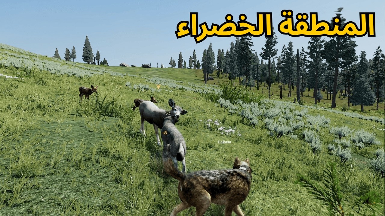 حياة الذئب #9 السيطرة والصيد في المناطق الخضراء الشاسعة! -  Wolf Quest