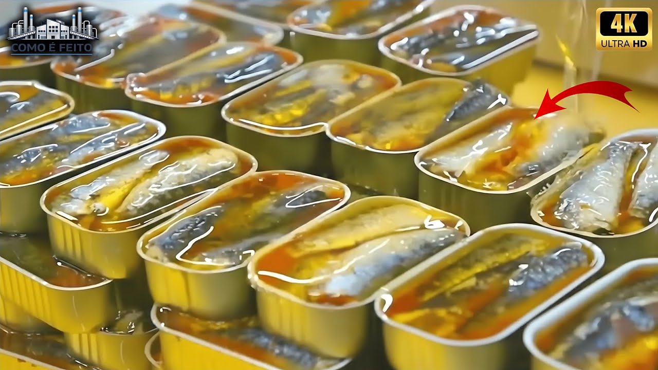 Você não imagina como o SARDINHA EM LATA é feito! O processo vai ter surpreender (Full)