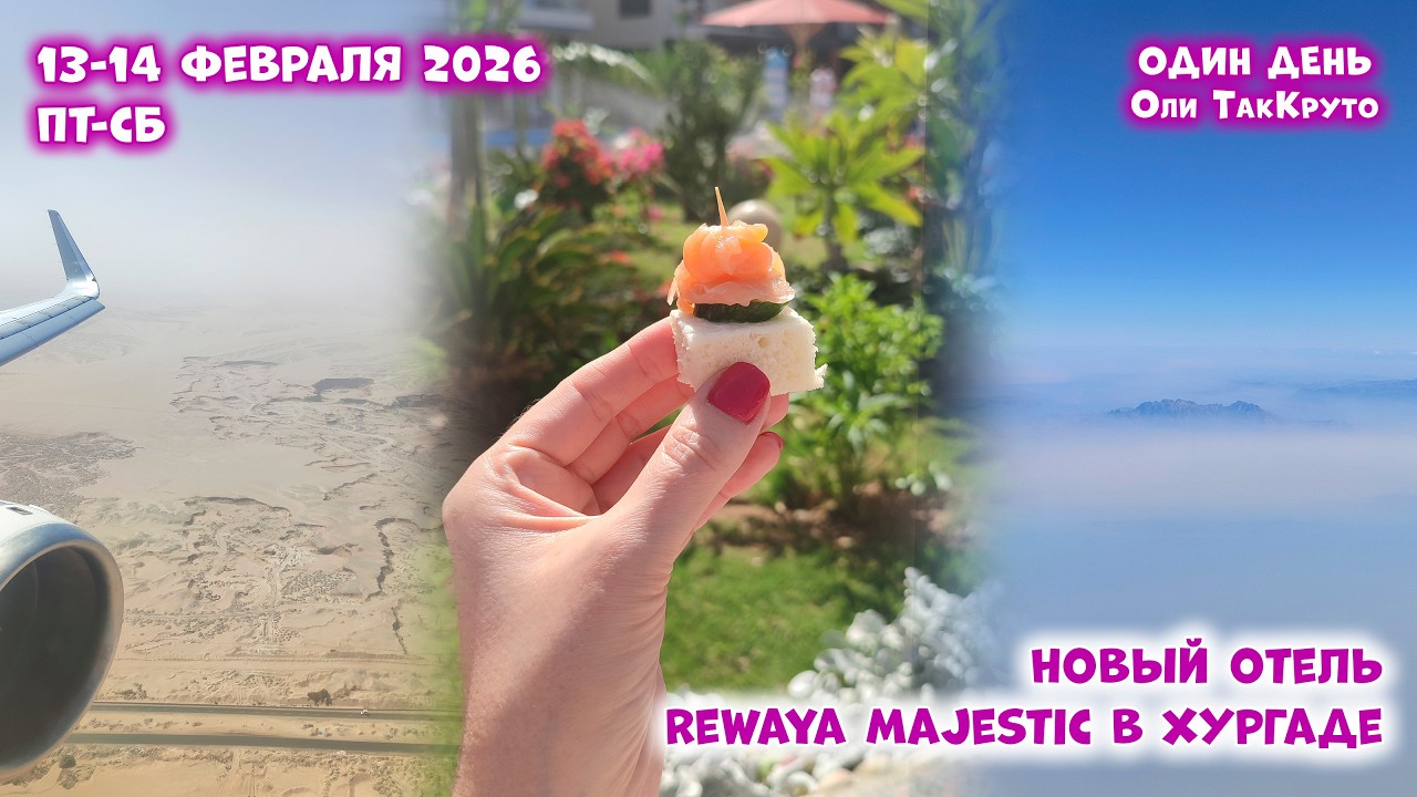 Мой личный рекорд по снятым видео. Отпуск начался! Отель Rewaya Majestic в Хургаде. Египет в феврале