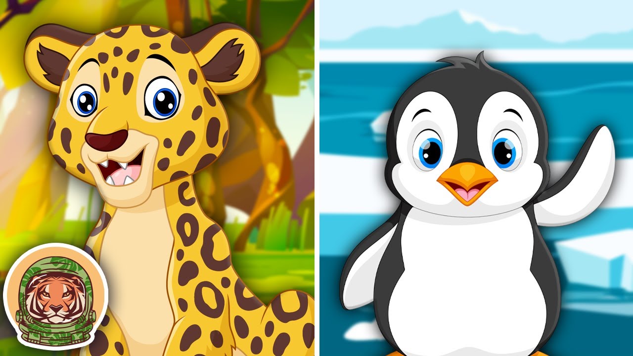 Learn About Animals That You Could Find In A Zoo! | Animal Songs For Kids | KLT WILD